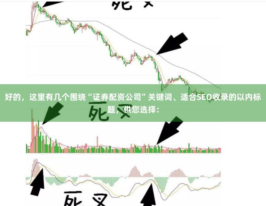 好的，这里有几个围绕“证券配资公司”关键词、适合SEO收录的以内标题，供您选择：